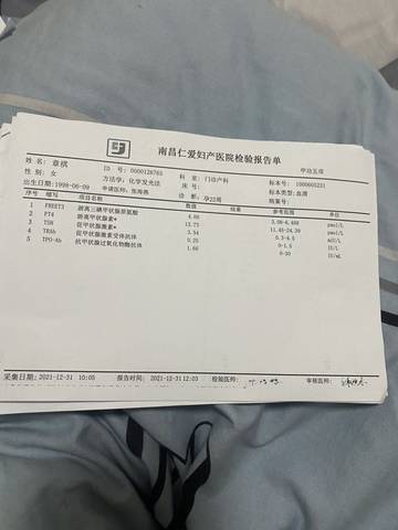 journal_insert_pic_1689723199