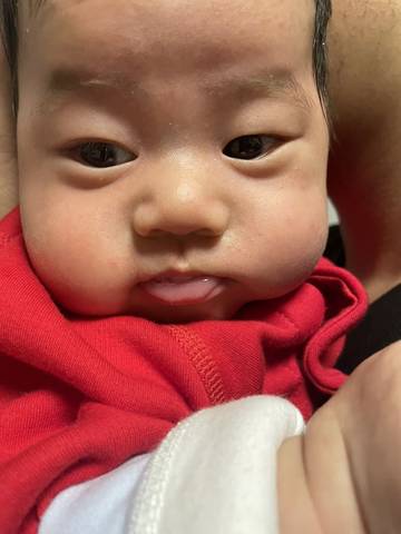 journal_insert_pic_1690432667