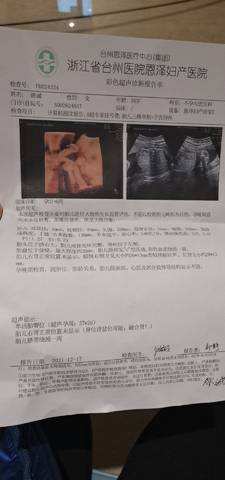 journal_insert_pic_1681843096