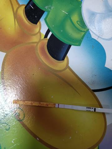 journal_insert_pic_1677629656