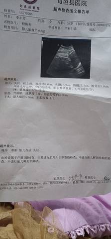 journal_insert_pic_1690230307