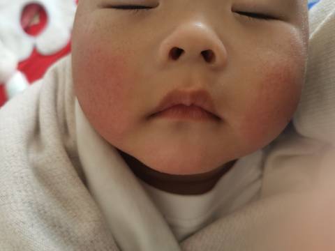 journal_insert_pic_1690099080