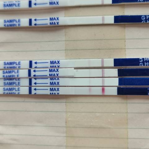 journal_insert_pic_1685153341