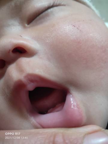 journal_insert_pic_1676249045