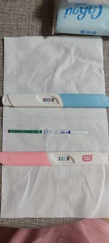 journal_insert_pic_1686887014