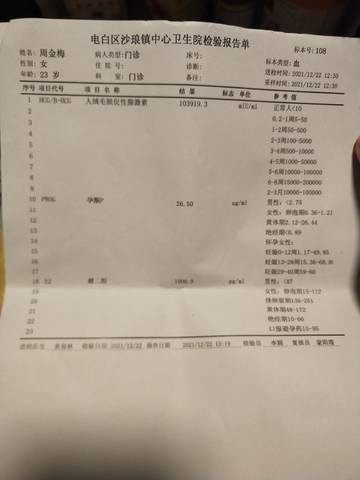 journal_insert_pic_1684871808