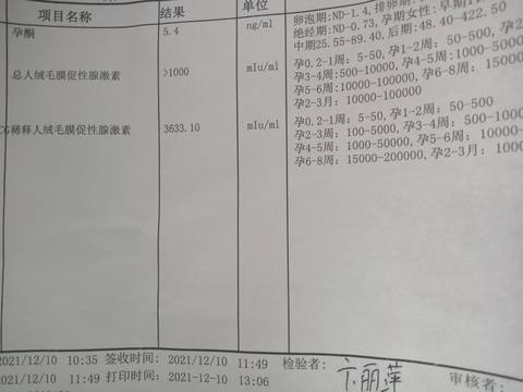 journal_insert_pic_1677942625