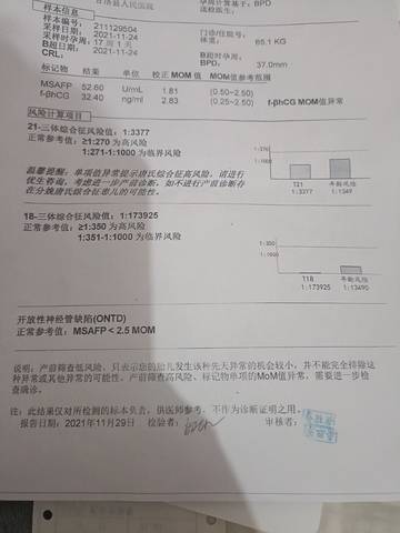 journal_insert_pic_1686702247