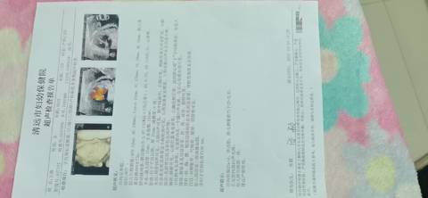 journal_insert_pic_1683189011