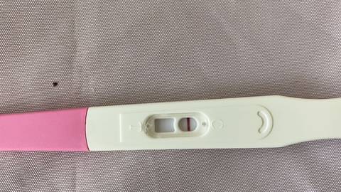 journal_insert_pic_1682609689