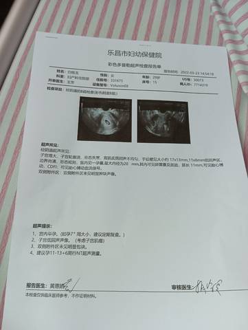 journal_insert_pic_1740972723