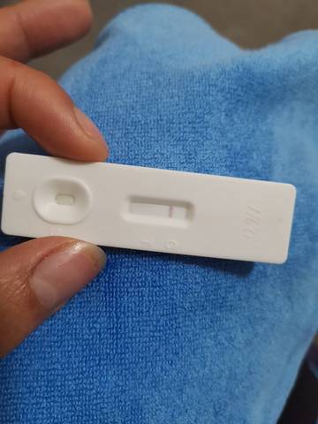 journal_insert_pic_1690374984