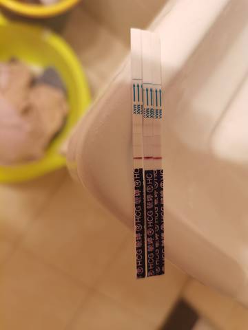 journal_insert_pic_1684465084