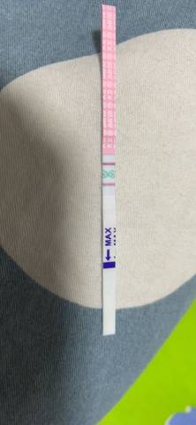 journal_insert_pic_1687915947