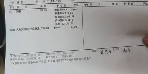 journal_insert_pic_1674668837