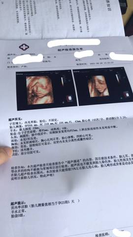 journal_insert_pic_1681054925