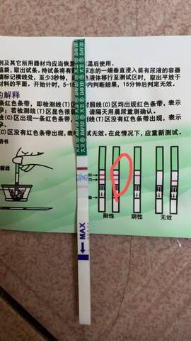 journal_insert_pic_1678110153