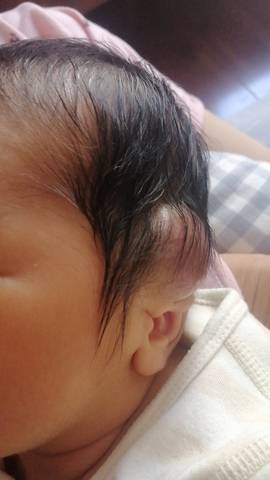 journal_insert_pic_1677047020