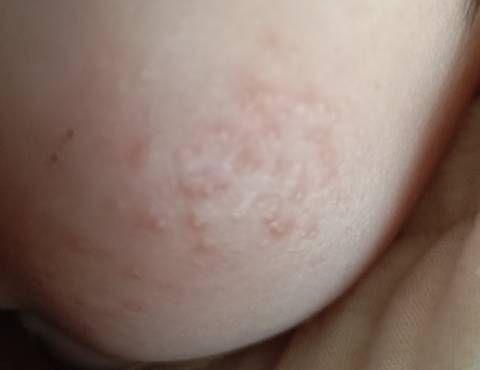 journal_insert_pic_1683715614