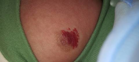 journal_insert_pic_1687522737