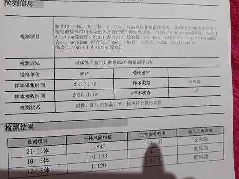 journal_insert_pic_1683267442