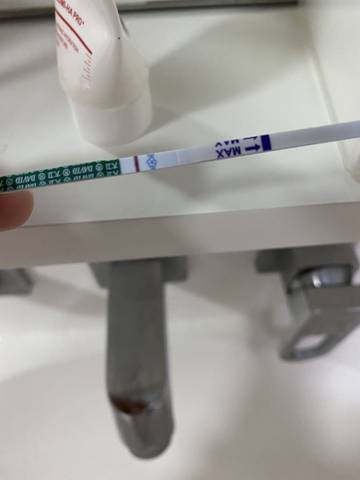 journal_insert_pic_1690396561