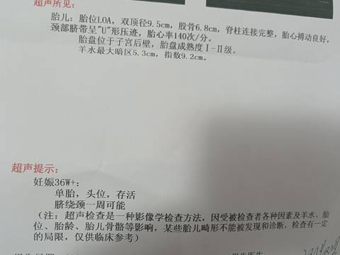 journal_insert_pic_1676290783
