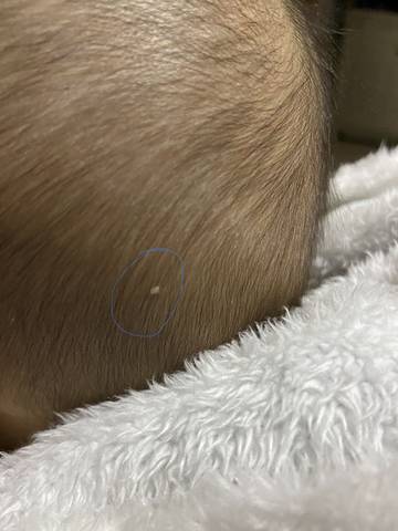 journal_insert_pic_1688016936