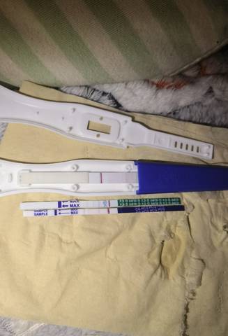 journal_insert_pic_1684016798