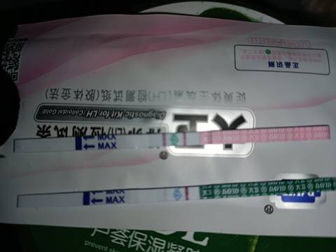 journal_insert_pic_1678302169