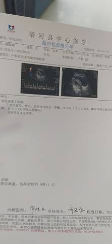 journal_insert_pic_1688939786