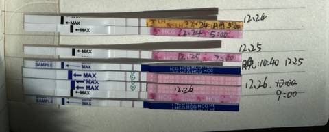 journal_insert_pic_1686421809