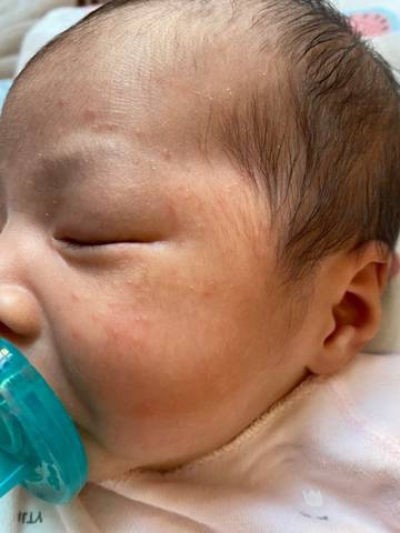 journal_insert_pic_1675526452