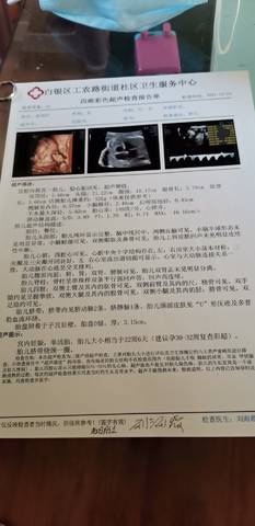 journal_insert_pic_1685510682