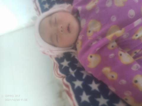 journal_insert_pic_1682990821