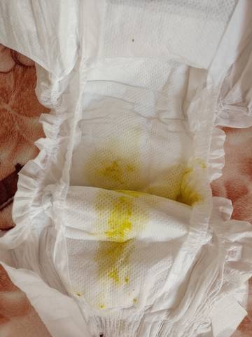 journal_insert_pic_1676144719