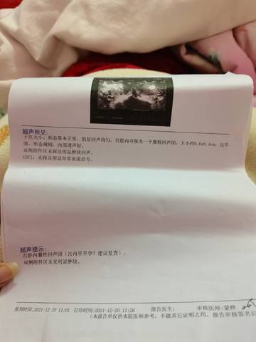 journal_insert_pic_1683167803