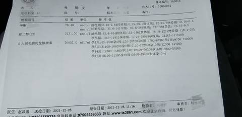 journal_insert_pic_1688344954