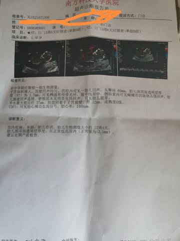 journal_insert_pic_1683596756