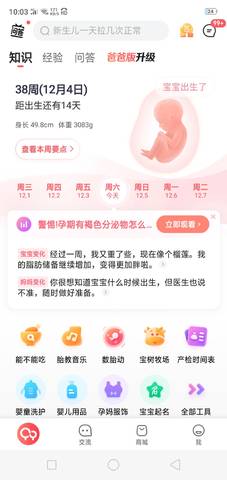 journal_insert_pic_1673394765