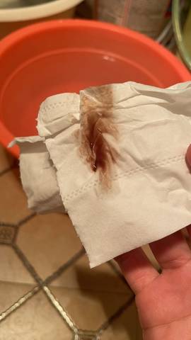 journal_insert_pic_1685567259