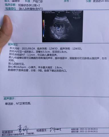 journal_insert_pic_1682936389