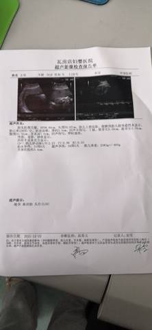 journal_insert_pic_1684395147