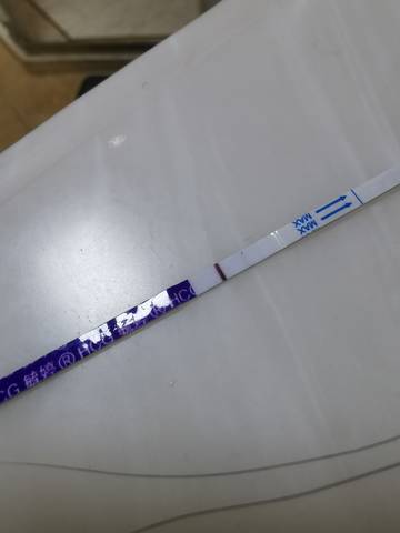 journal_insert_pic_1677791552