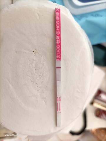 journal_insert_pic_1740910443