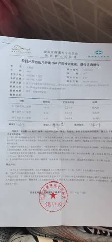 journal_insert_pic_1674300299