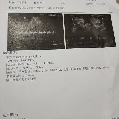 journal_insert_pic_1740961023