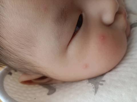 journal_insert_pic_1686306597