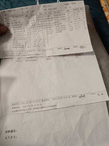 journal_insert_pic_1689142986