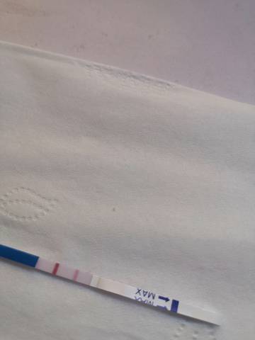 journal_insert_pic_1681899231